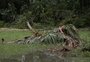 Chuva, granizo e vento forte atingem moradias rurais e afetam produção gaúcha