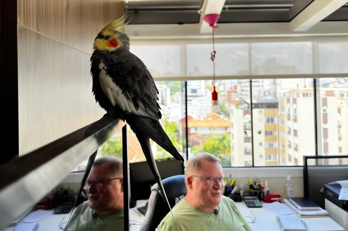 DENZEL VALIENTE / AGENCIA RBS