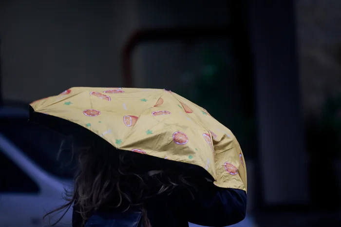 André Ávila / Agencia RBS