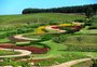 Cores, aromas e sensações: Mátria Parque de Flores inaugura nesta sexta, em São Francisco de Paula