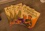 Piso, barras de apoio e iluminação: arquiteta de Bento Gonçalves lança livro com dicas para prevenir quedas em casa