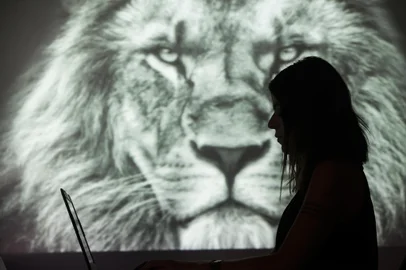 PORTO ALEGRE, RS, BRASIL - 2020.03.02 - Imagens gerais do site e aplicativo da receita federal para o Imposto de Renda. (Foto: ANDRÉ ÁVILA/ Agência RBS)Indexador: Andre Avila<!-- NICAID(14437041) -->