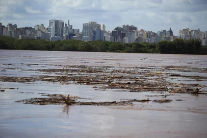 PORTO ALEGRE, RS, BRASIL, 23-09-2026: Chuvas no RS. Régua e Rio Guaíba com toras de árvores. Foto: Ronaldo Bernardi/Grupo RBS<!-- NICAID(16371649) -->