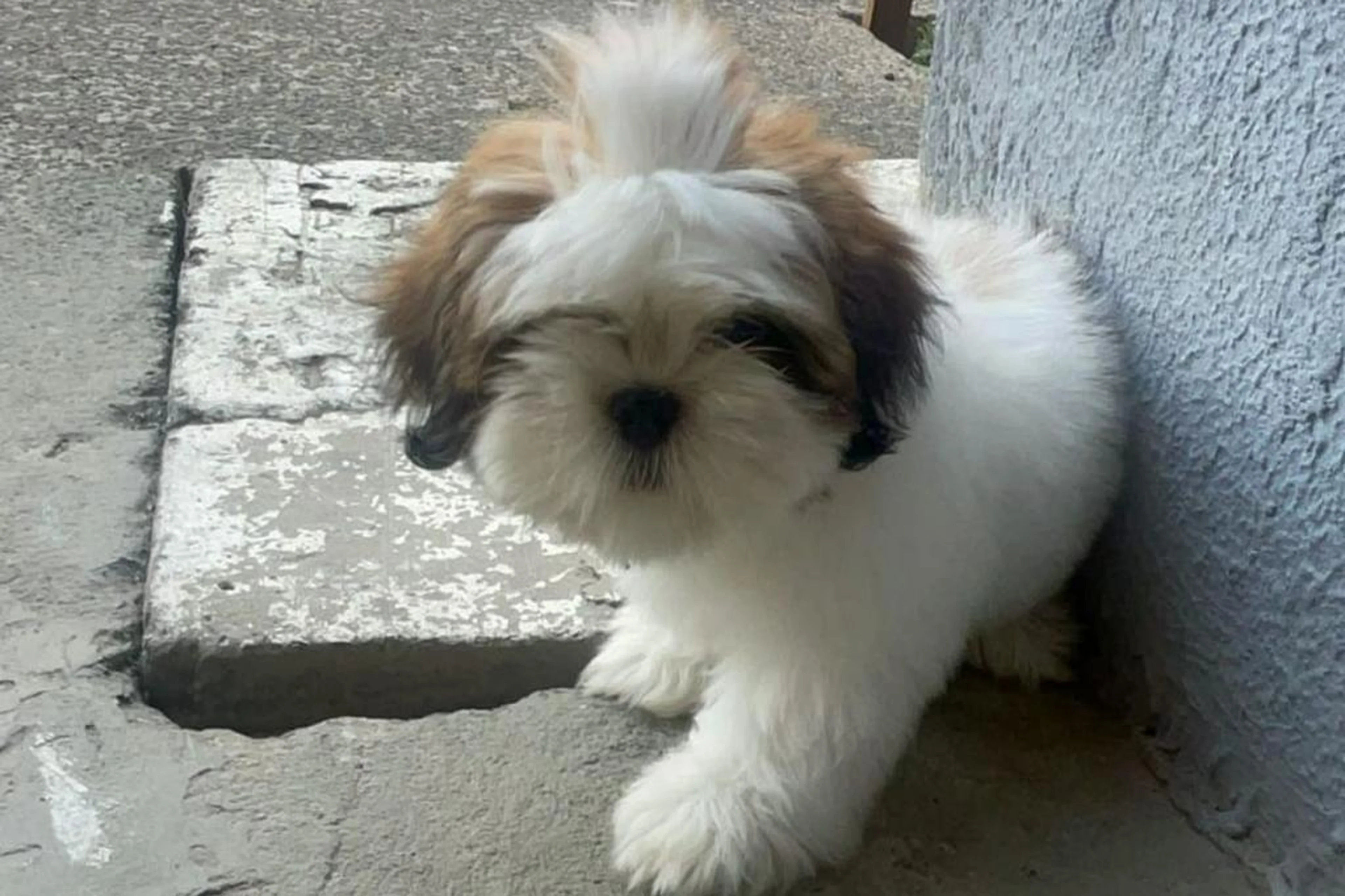 Arquivo Pessoal/Arquivo Pessoal