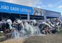 As vacas que deram um "banho de leite" na 49ª Expointer