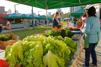 Feira Ecológica de Caxias do Sul, realizada na Praça das Feiras<!-- NICAID(15100116) -->