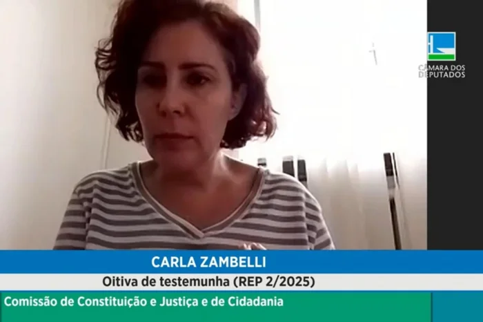 YouTube@camaradosdeputadosoficial / Reprodução