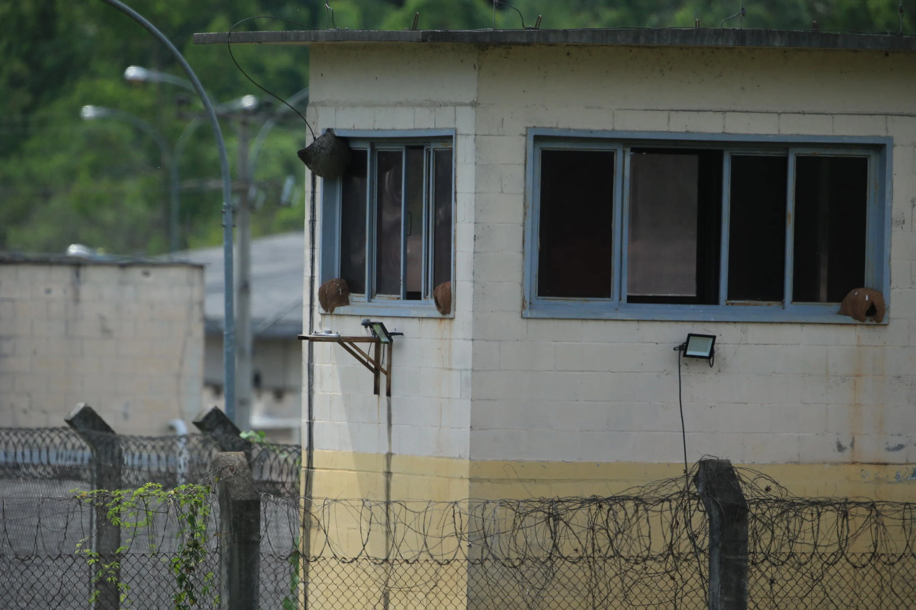 Ronaldo Bernardi/Agencia RBS