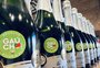 Campanhas impulsionam em 30% as vendas de vinícola da Serra para a região Sul