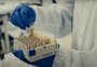 BioNTech/Pfizer quer aumentar em 25% a produção de vacina contra covid-19 em 2021