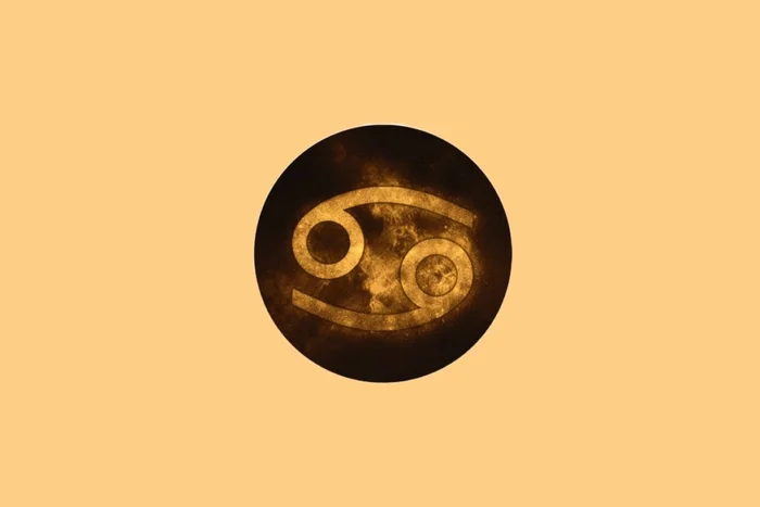 Allexxandar / Shutterstock | Portal EdiCase