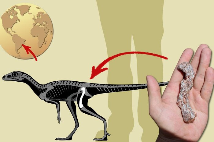 r Maurício Silva Garcia e Rodrigo Temp Müller / Divulgação r Maurício Silva Garcia e Rodrigo Temp Müller / Divulgação