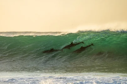 Surfe, Jeffrey's Bay