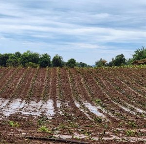 Helton Barreto / Arquivo pessoal
