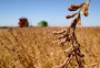 A polêmica do subsídio ao agro e a defesa do Estado mínimo