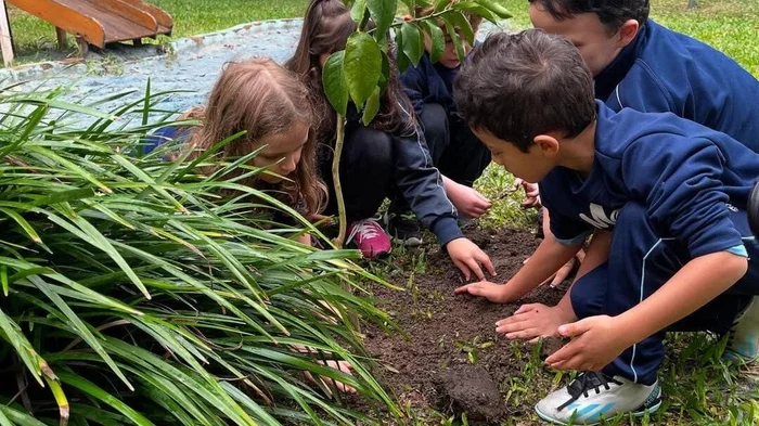 Marista do Brasil / Divulgação Marista do Brasil / Divulgação