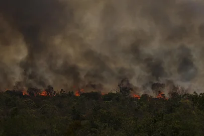 BrasÃ­lia (DF), 16/09/2024 - Grandes focos de incÃªndio atingem Ã¡reas do Parque Nacional de BrasÃ­lia. Foto: Marcelo Camargo/AgÃªncia BrasilBrasília (DF), 16/09/2024 - Grandes focos de incêndio atingem áreas do Parque Nacional de Brasília. Foto: Marcelo Camargo/Agência BrasilLocal: BrasÃ­liaIndexador: Marcelo Camargo/AgÃªncia BrasilFonte: AgÃªncia Brasil/Empresa Brasil dFotógrafo: Reporter Fotografico<!-- NICAID(15867883) -->