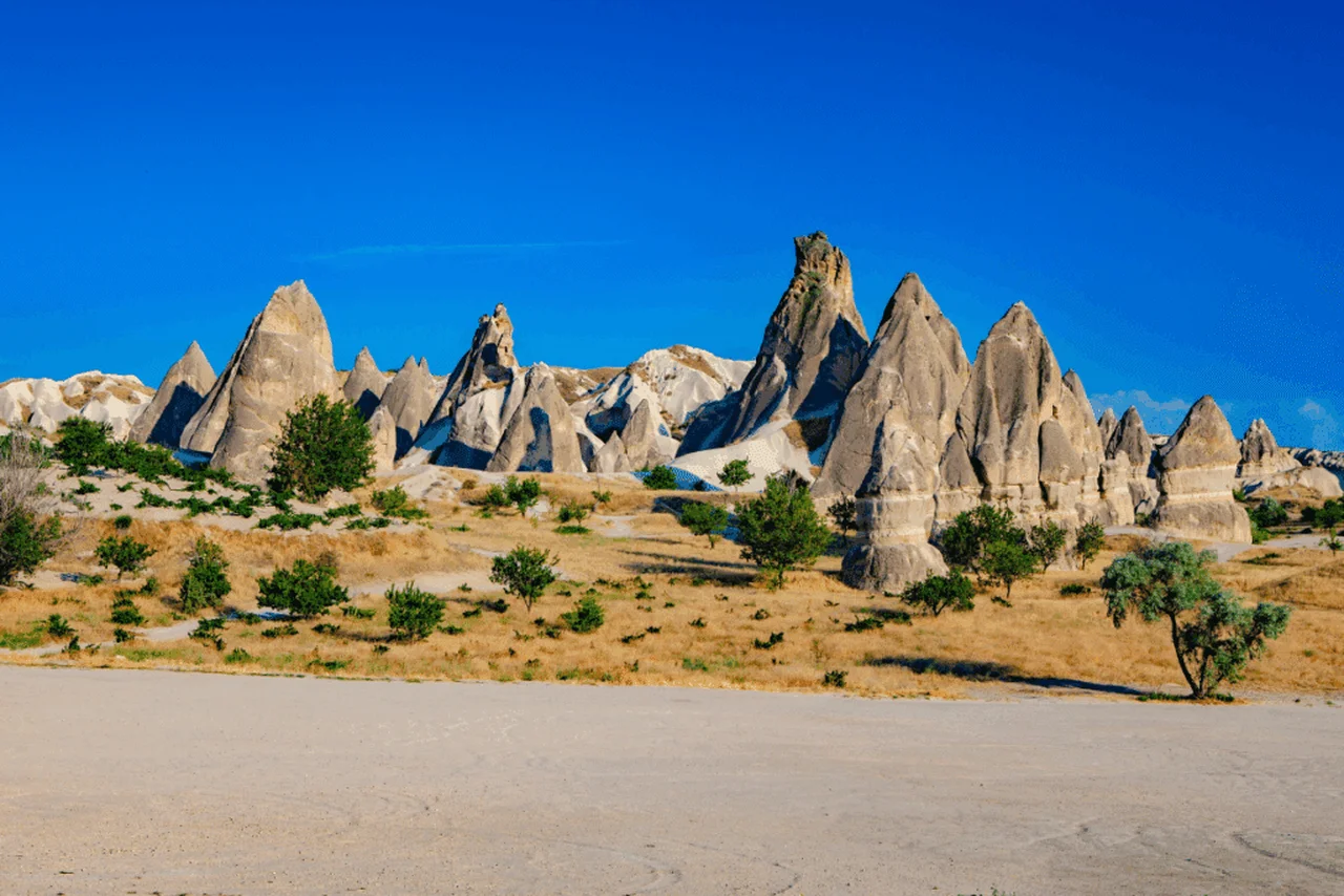 Kamran Ali/Shutterstock | Portal EdiCase