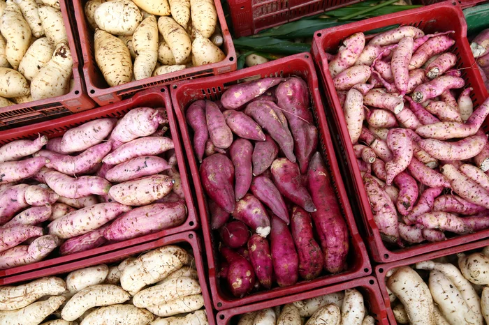 Tadeu Vilani / Agencia RBS Tadeu Vilani / Agencia RBS