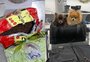 Vigiagro do Aeroporto de Guarulhos faz sucesso nas redes sociais com bichinhos e apreensões