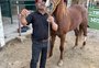 O ginete que esperou 20 anos para ser campeão com o cavalo da raça mangalarga