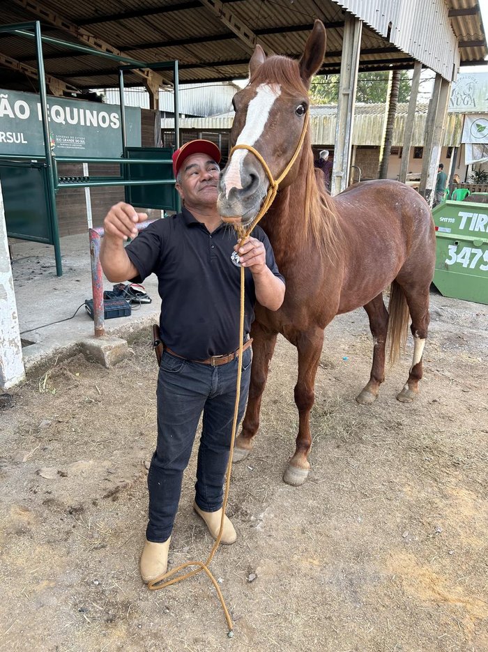 Patrícia Lima / AgroEffective