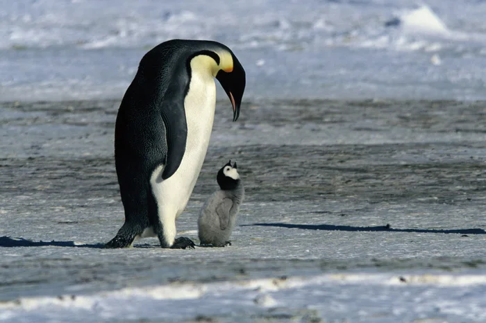 Reserva Imovision / Divulgação