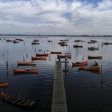 RIO GRANDE, RS, BRASIL - 2025.04.15 - Safra do camarão decepciona pescadores em Rio Grande, no sul do Estado. Em 2025, a captura começou em fevereiro e segue até o fim de maio, com expectativa de ser uma temporada melhor do que em 2024, o que não ocorreu. Prefeitura estima safra 50% abaixo do esperado. Segundo especialistas, enchente de maio de 2024 foi a responsável pelo resultado ruim até o momento. (Fotos: André Ávila/ Agência RBS)Local: Rio Grande<!-- NICAID(16018957) -->