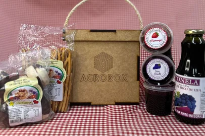 Agrobox Colégio Murialdo Ana Rech<!-- NICAID(15475093) -->