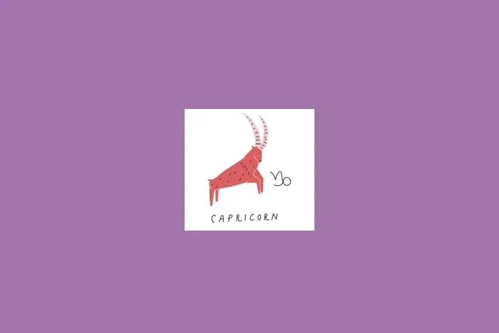 Milanana / Shutterstock | Portal EdiCase Milanana / Shutterstock | Portal EdiCase