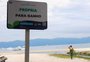 Placas deixam de informar se praias de Santa Catarina são próprias ou impróprias para banho; indicação será por QR Code