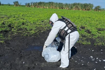 Estação ecológica do Taim<!-- NICAID(16237429) -->