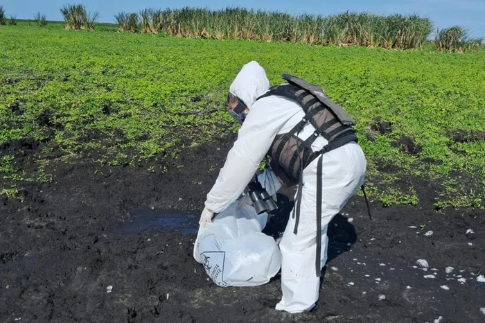 Divulgação / EESC TAIM/ICMBIO Divulgação / EESC TAIM/ICMBIO