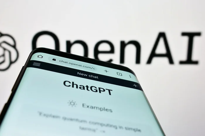 Timon / stock.adobe.com Timon / stock.adobe.com