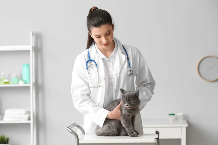 Pixel-Shot / Shutterstock | Portal EdiCase