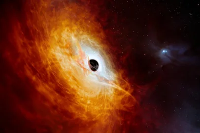 This artist’s impression shows the record-breaking quasar J059-4351, the bright core of a distant galaxy that is powered by a supermassive black hole. Using ESO’s Very Large Telescope (VLT) in Chile, this quasar has been found to be the most luminous object known in the Universe to date. The supermassive black hole, seen here pulling in surrounding matter, has a mass 17 billion times that of the Sun and is growing in mass by the equivalent of another Sun per day, making it the fastest-growing black hole ever known.Fonte: European Southern Observatory<!-- NICAID(15684456) -->