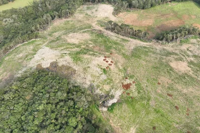 Polícia flagra mais de 33 mil metros quadrados de desmatamento no norte do RS<!-- NICAID(15862231) -->