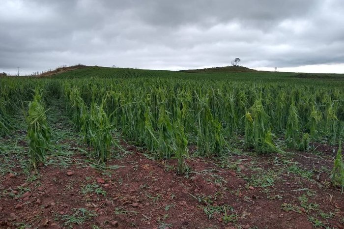Douglas Velho / Divulgação