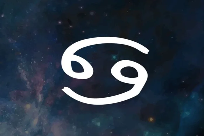 Cro Magnon / Shutterstock | Portal EdiCase