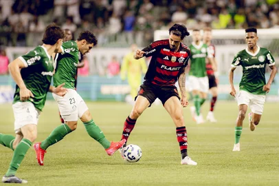 Flamengo x Palmeiras<!-- NICAID(16057954) -->