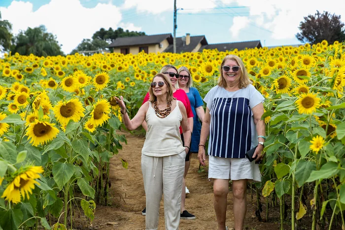 Neimar De Cesero / Agencia RBS