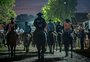 Marcha da Resistência: a prova do cavalo crioulo em que se percorre 750 km em 15 dias
