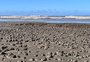 Barreiras de areia são ampliadas para conter avanço da lama na orla do Cassino