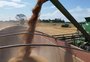 RS supera 5 milhões de toneladas de trigo em 2022
