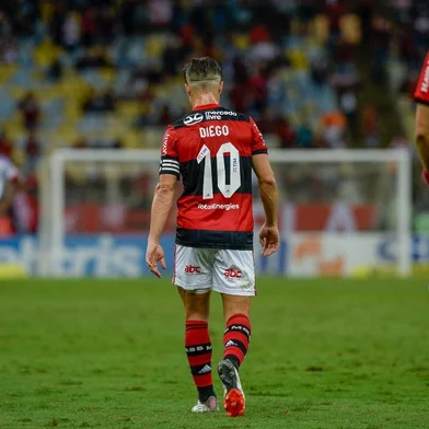 Diego Ribas, Flamengo