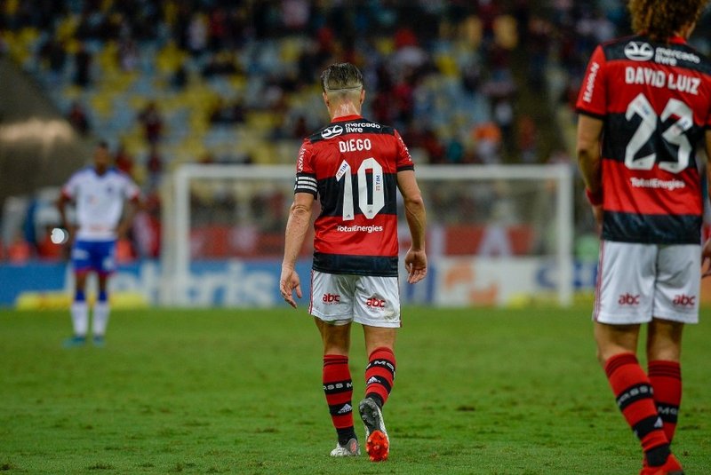 Diego Ribas, Flamengo