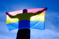 Pessoas pansexuais (representadas pelo "P" na sigla LGBTQIAPN+) sentem atração por indivíduos independentemente do gênero.<!-- NICAID(16066293) -->