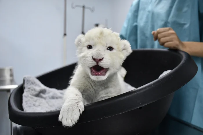 Jacinto OLIVEROS / AFP Jacinto OLIVEROS / AFP