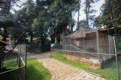 CAXIAS DO SUL, RS, BRASIL, 21/09/2023. A reportagem foi até o Zoológico da UCS, conhecer um pouco da rotina deles com o ambiente fechado para a visitação do público. (Bruno Todeschini/Agência RBS)Indexador: BTK<!-- NICAID(15548746) -->