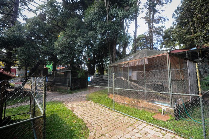 Bruno Todeschini / Agencia RBS